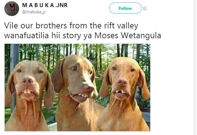 Ma bu ka jnr mabuka_jr follow vile our brothers from the rift valley wanafuatili