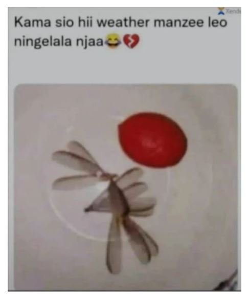 Kama sio hii weather manzee leo ningelala njaa
