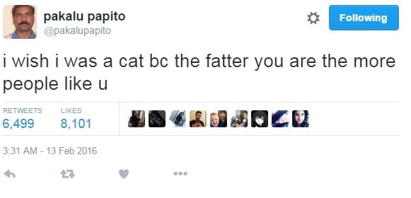 Pakalu papito pakalupapito following wish was a cat bc the fatter you are the mo