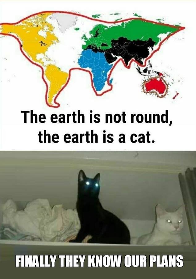 The earth is not round, the earth is a cat. finally they know our plans