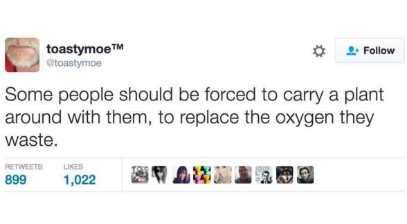 Toastymoetm gtoastymoe follow some people should be forced to carry a plant arou