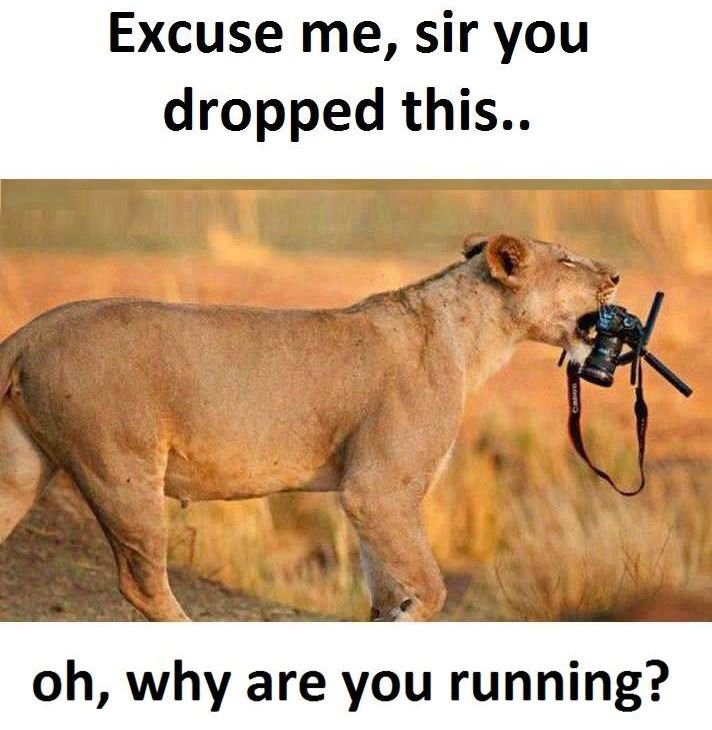 Excuse me, sir you dropped this.. oh, why are you running?