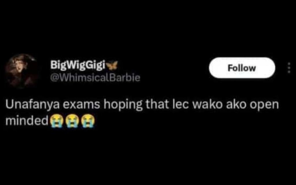 Bigwiggigi whimsicalbarbie follow unafanya exams hoping that lec wako ako open m
