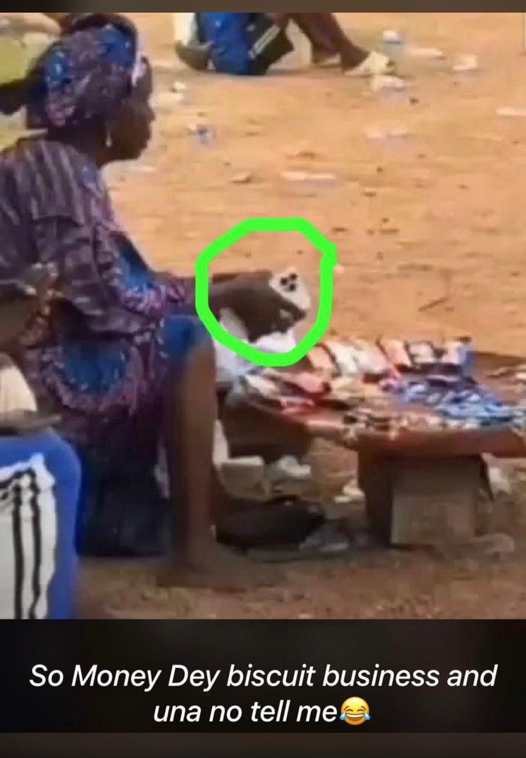 So money dey biscuit business and una no tell me