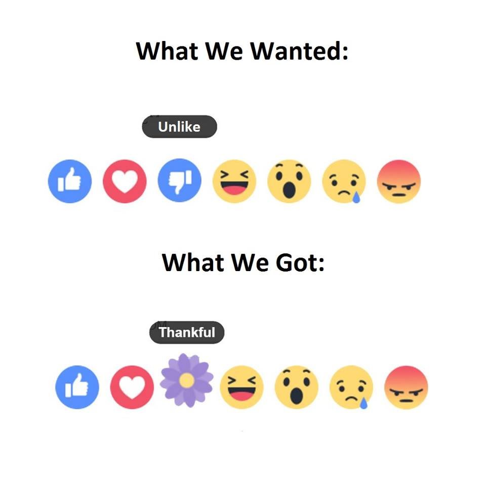 What we wanted unlike what we got thankful