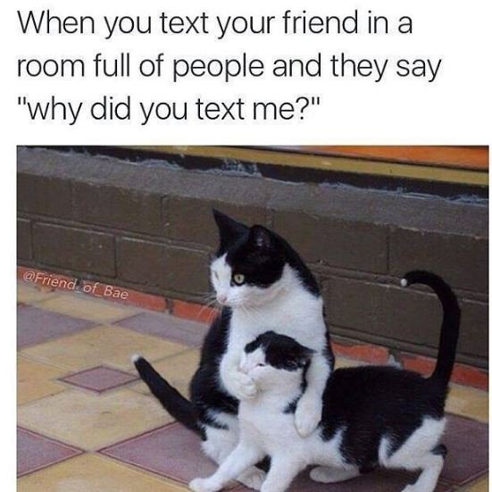 When you text your friend in a room full of people and they say why did you text