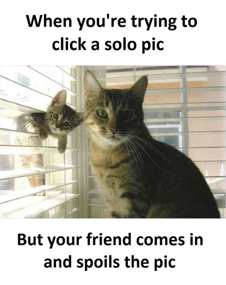 When you're trying to click a solo pic but your friend comes in and spoils the p