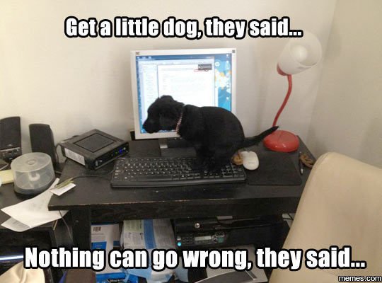 Gedamiedagmnesaid nothing cango wrong theysaid d menescom