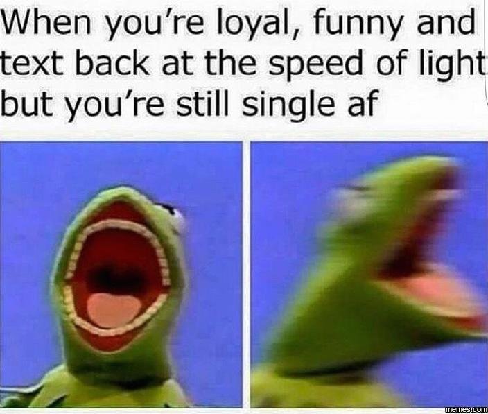 When you're loyal, funny and text back at the speed of light but you're still si