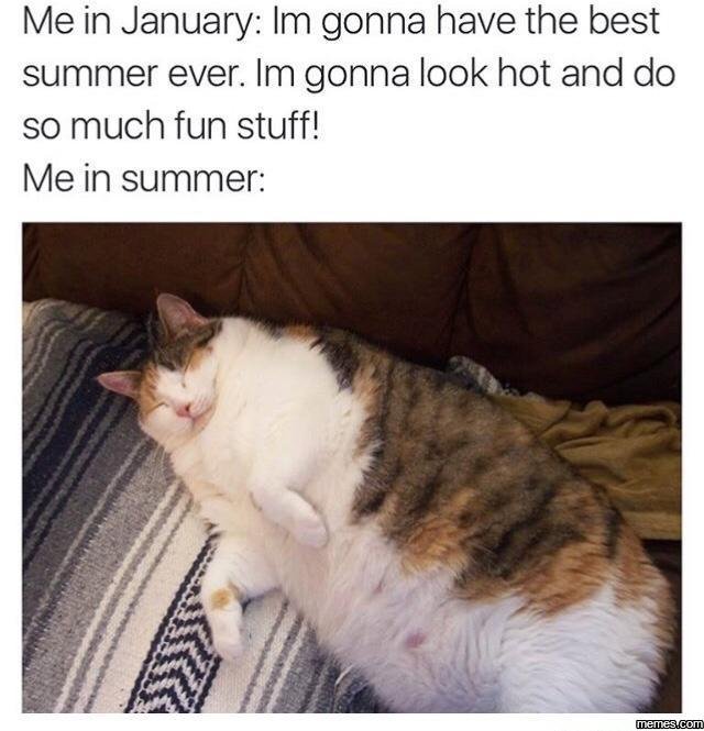 Me in january im gonna have the best summer ever. im gonna look hot and do so mu