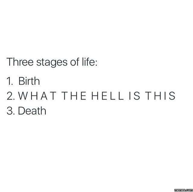 Three stages of life 1 birth 2 what the hellis this 3. death memesucom