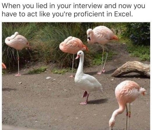 When you lied in your interview and now you have to act like you're proficient i