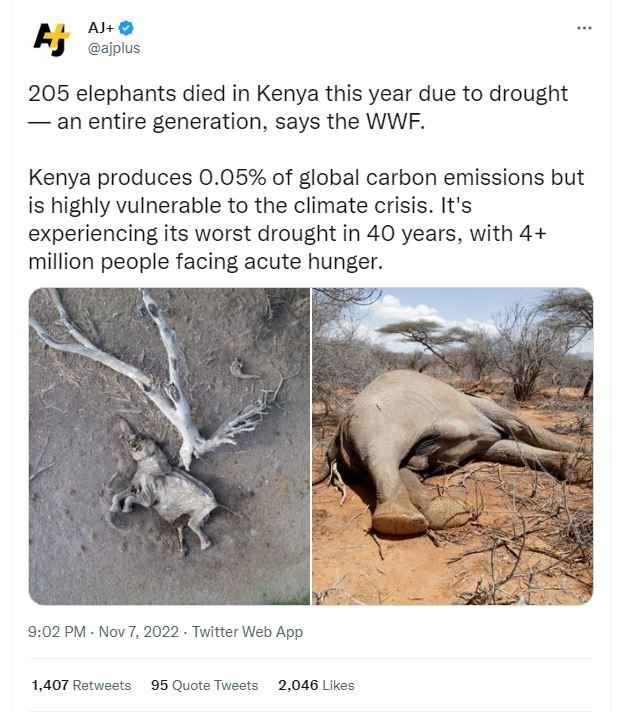 H aj ajplus 205 elephants died in kenya this year due to drought an entire gener