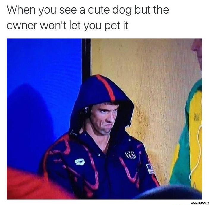 When you see a cute dog but the owner won't let you pet it memeacom