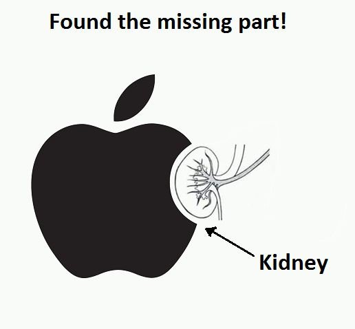 Found the missing part! kidney