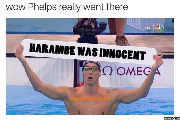 Wow phelps really went there live harambe was innocent omeg doseoauemes ne temea