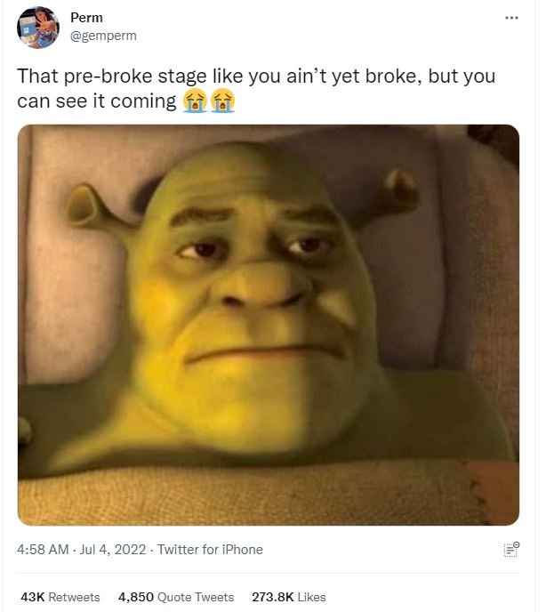 Perm gemperm that prebroke stage like you ain't yet broke but you can see it com