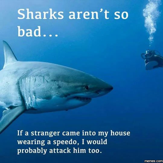 Sharks aren't so bad if a stranger came into my house wearing a speedo, i would