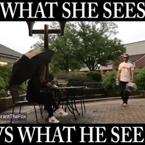 What she sees rantthefox ts what he see