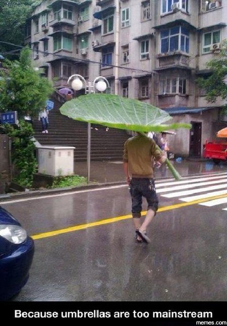Because umbrellas are too mainstream memes com