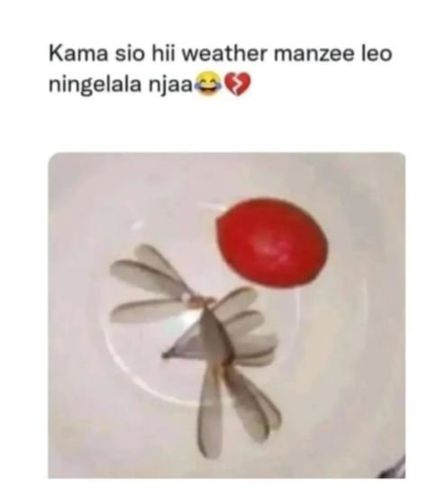Kama sio hii weather manzee leo ningelala njaa
