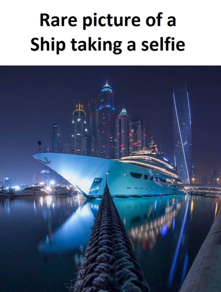 Rare picture of a ship taking a selfie