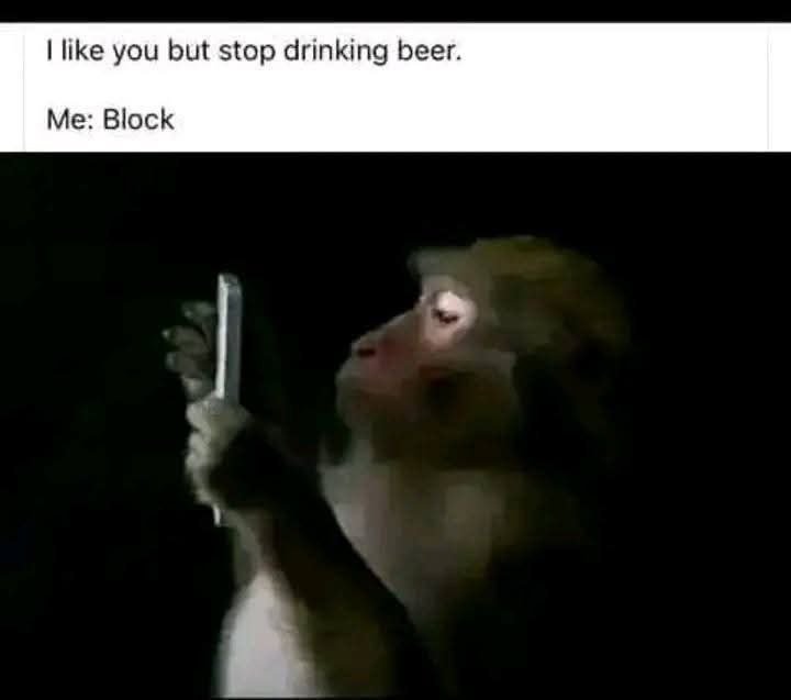 Like you but stop drinking beer. me block