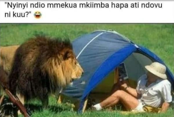 Nyinyi ndio mmekua mkiimba hapa ati ndovu ni kuu?