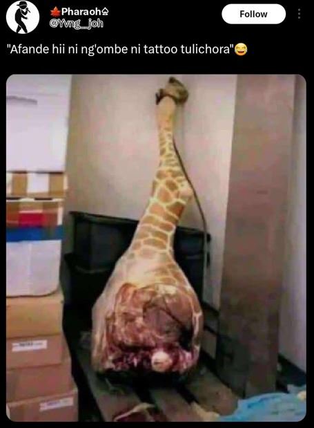 Pharaohs mig_joh follow afande hii ni ng'ombe ni tattoo tulichora