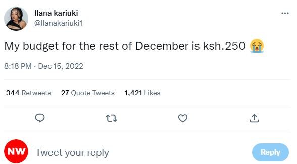 Ilana kariuki ilanakariukil my budget for the rest of december is ksh.250 818 pm