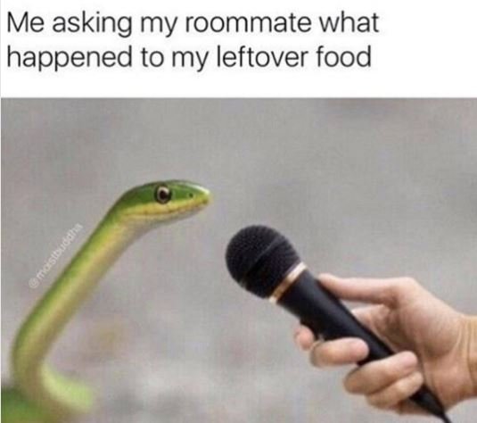 Me asking my roommate what happened to my leftover food