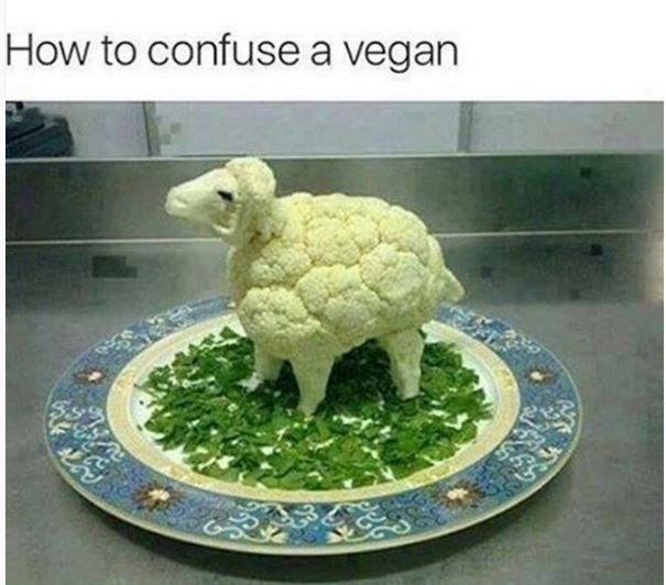 How to confuse a vegan
