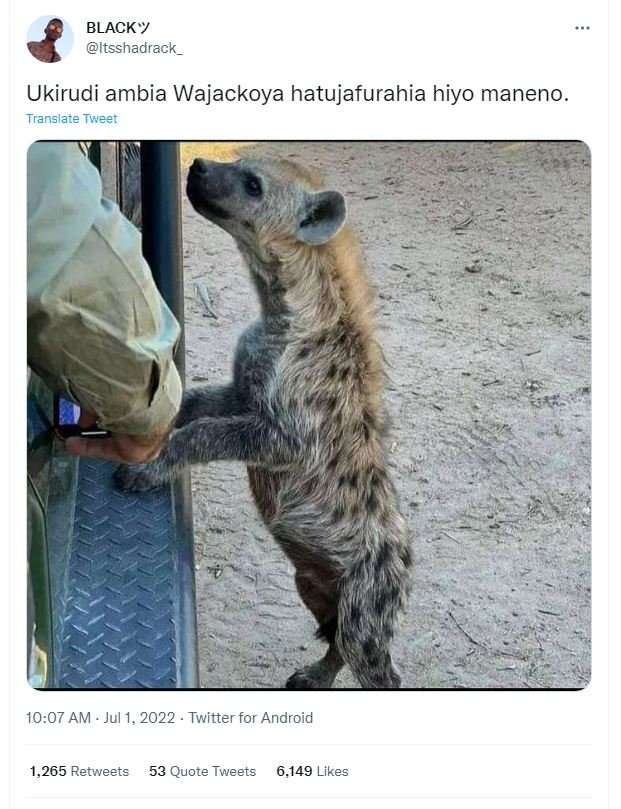 Blacky itsshadrack _ ukirudi ambia wajackoya hatujafurahia hiyo maneno. translat