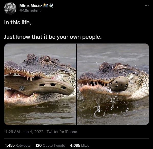 Mirex mosez mirexshotz in this life, just know that it be your own people. 11.26