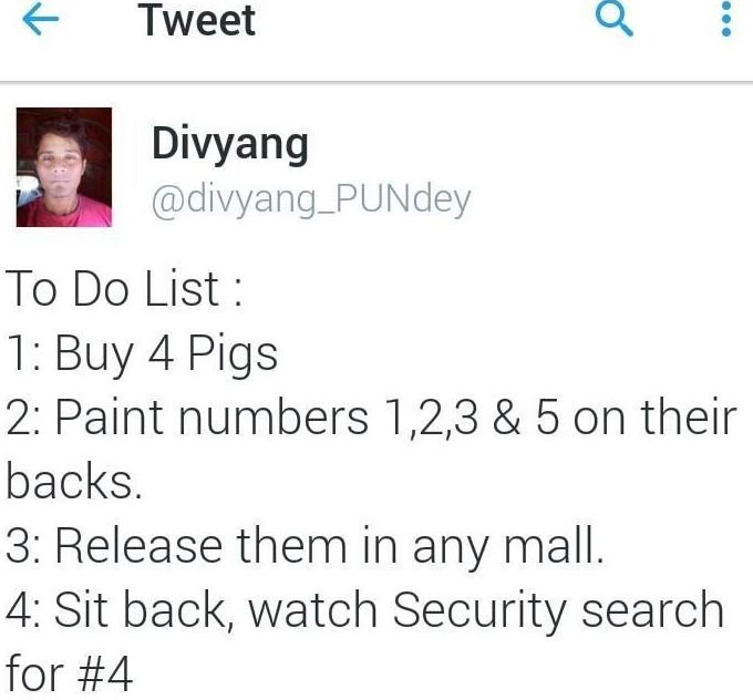 Tweet divyang divyang_pundey to do list 1 buy 4 pigs 2 paint numbers 1,2,3 5 on