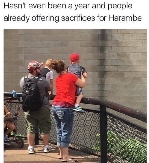 Hasn't even been a year and people already offering sacrifices for harambe