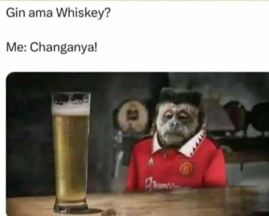 Gin ama whiskey? me changanyal dog