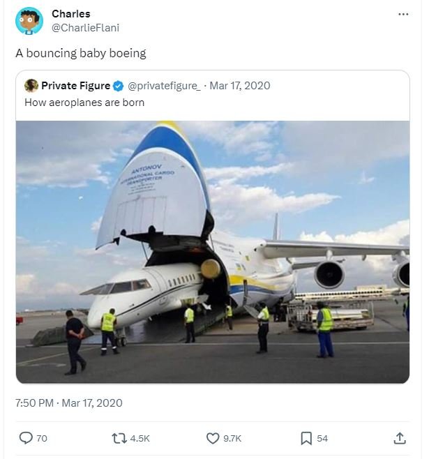 Charles charlieflani bouncing baby boeing private figure privatefigure mar 17, h