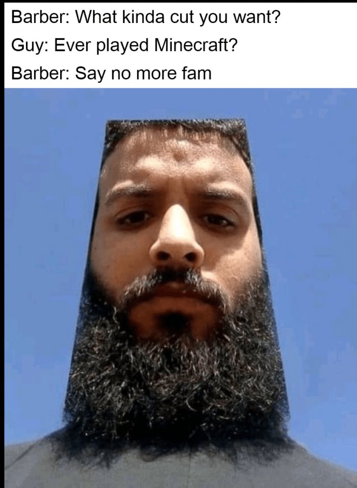 Barber what kinda cut you want? guy ever played minecraft? barber say no more fa