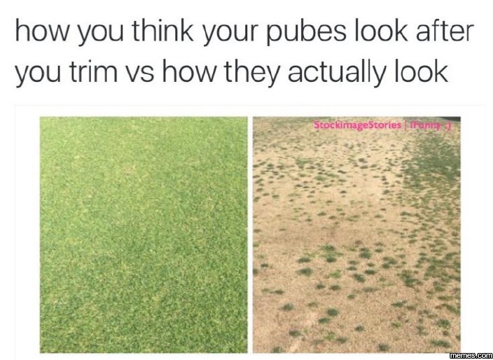 How you think your pubes look after you trim vs how they actually look srockimag