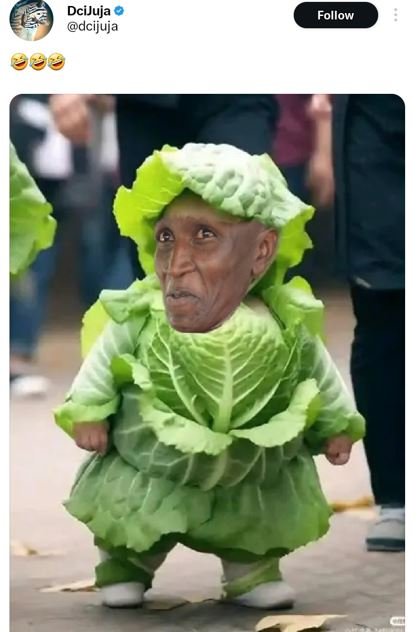 Dcijuja dcijuja follow