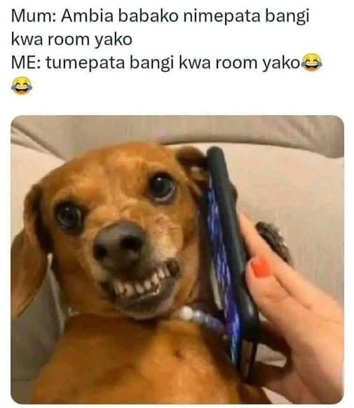 Mum ambia babako nimepata bangi kwa room yako me tumepata bangi kwa room yako