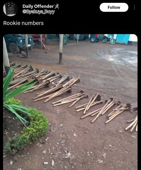 Daily offender byakujboyy rookie numbers follow