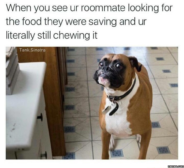 When you see ur roommate looking for the food they were saving and ur literally