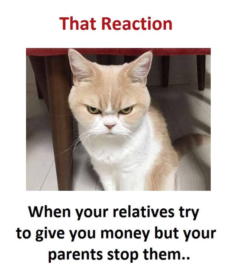 That reaction when your relatives try to give you money but your parents stop th
