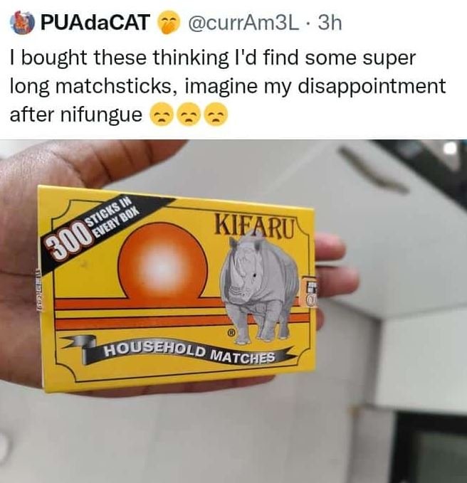 Puadacat curram3l 3h bought these thinking i'd find some super long matchsticks,