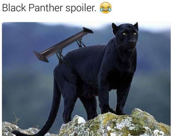 Black panther spoiler.