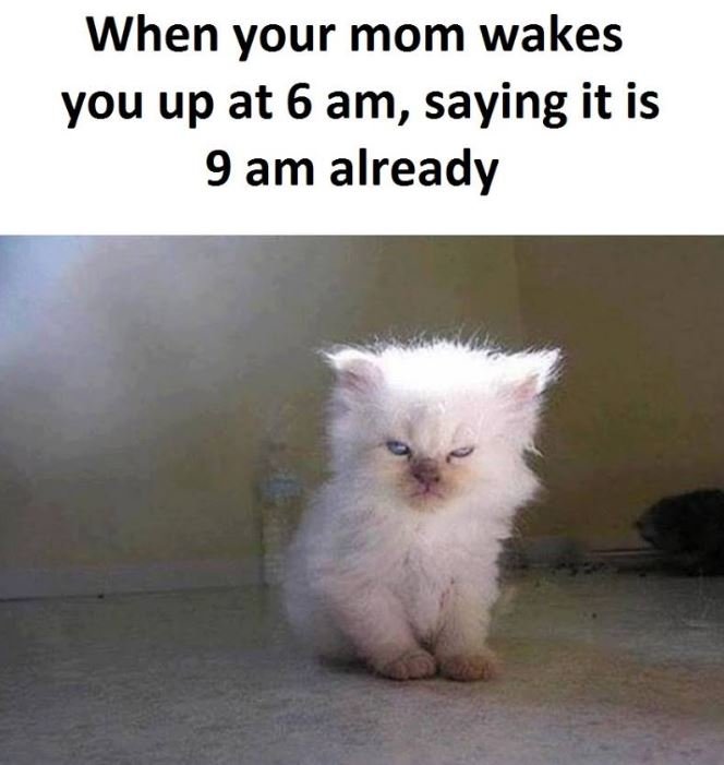 When your mom wakes you up at 6 am, saying it is 9 am already