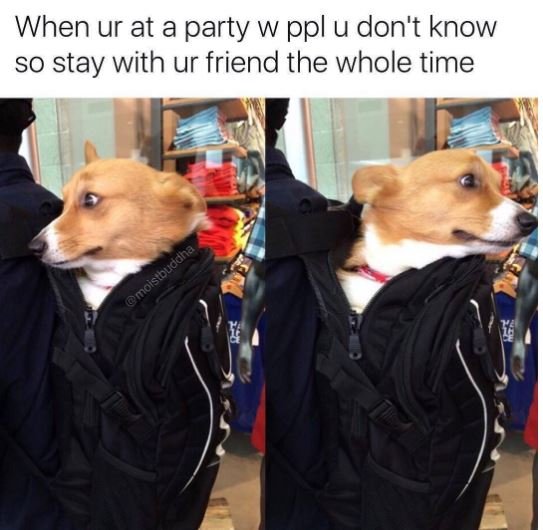When ur at a party w ppl u don't know so stay with ur friend the whole time mols