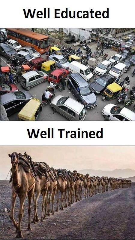 Well educated well trained